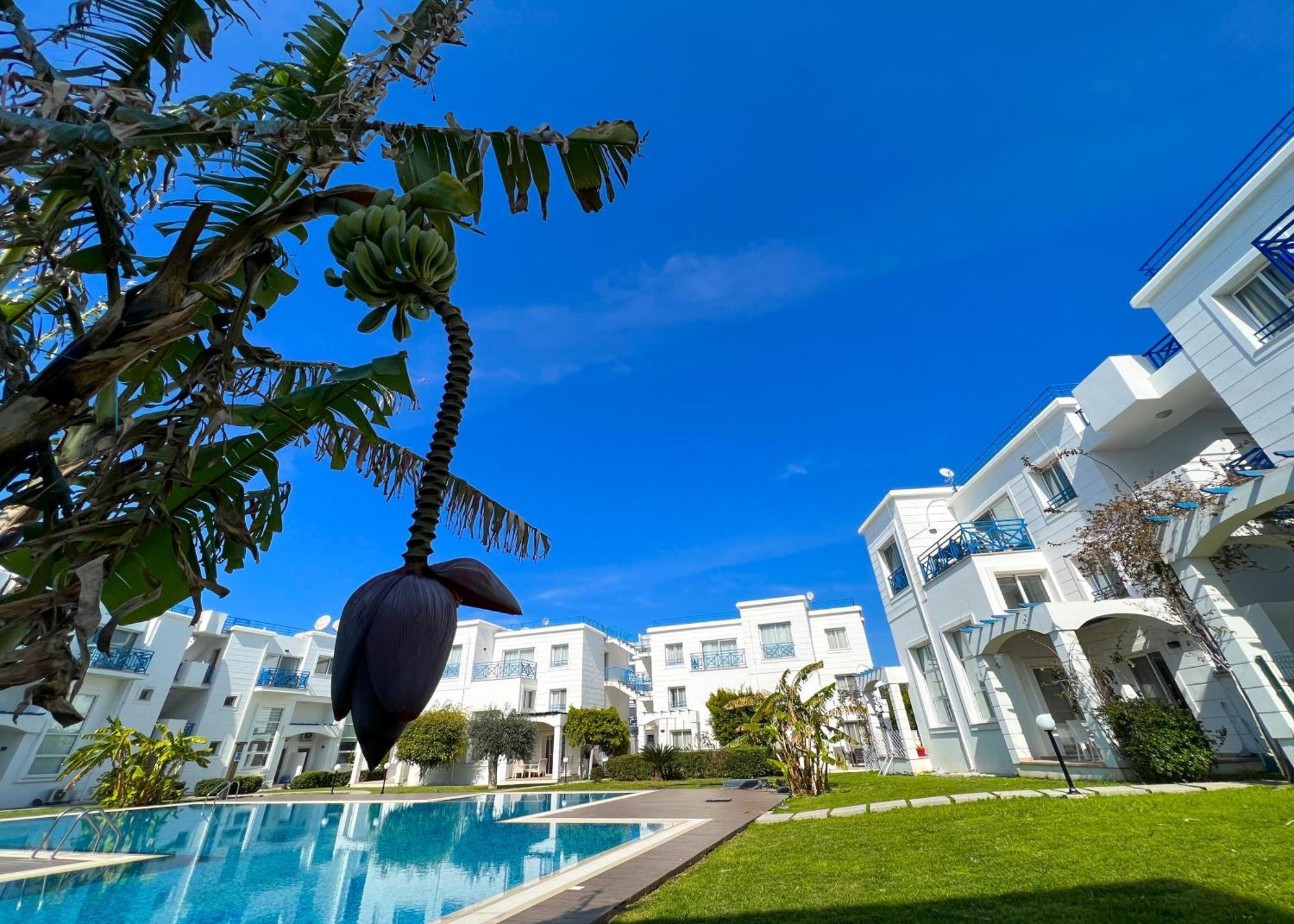 Garden Loft Apt With Pool In Alsancak Kyrenia Girne Buitenkant foto
